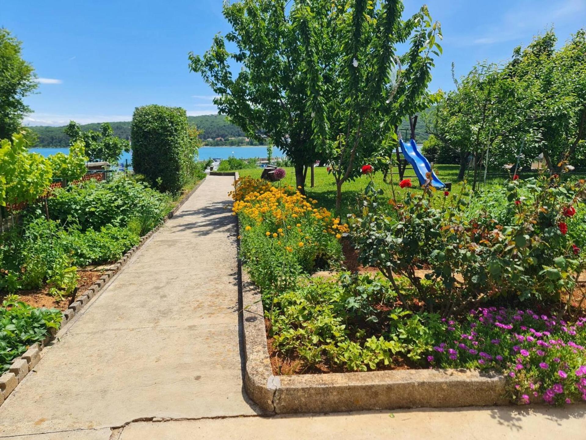 Apartments Citkovic Čižići エクステリア 写真